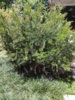20150613_123734.jpg
