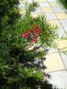20150613_123755.jpg