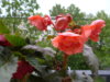 P1030079.JPG
