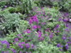 20150527_195303.jpg