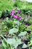 DSCN1168.JPG