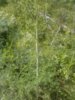 WP_000851.jpg