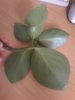 20150619_121247.jpg