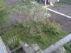 20150530_212124.jpg