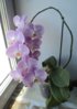 DSC00388.JPG