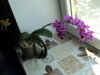 DSC00390.JPG