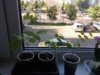 20150701_190212.jpg