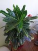 20150702_105202.jpg