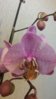 20150702_103050.jpg