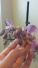 20150702_103215.jpg