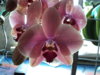DSC00426.JPG