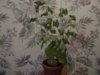 DSC05824.JPG
