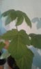 20150703_193549.jpg