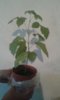 20150703_193540.jpg