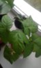 20150703_193603.jpg
