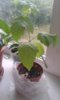 20150703_193614.jpg