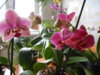 DSCN4264.JPG