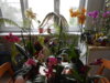 DSCN4246.JPG