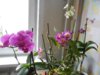 DSCN4245.JPG