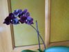 DSCN4269.JPG