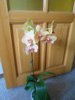 DSCN4267.JPG