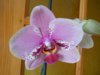 DSCN4251.JPG