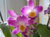 DSCN4270.JPG