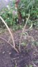20150613_195644.jpg