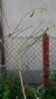 20150613_195631.jpg