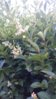 20150711_202451.jpg