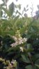 20150711_202502.jpg