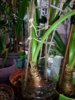 20150712_134732.jpg