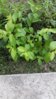 20150719_095914.jpg