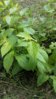 20150719_095925.jpg