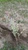 20150719_100046.jpg