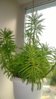 yL9vWx3otE_8536615_18010432.jpg
