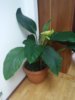 20150720_181033.jpg