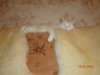 DSC03065.JPG