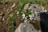 B89B6779+.jpg