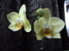 DSC00569.JPG