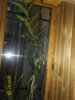 100_2349.JPG