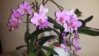 20150726_192732.jpg