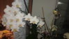 20150731_220756.jpg