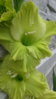 20150801_130851.jpg