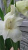 20150801_130832.jpg