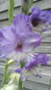 20150801_130822.jpg