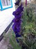 20150721184205.jpg
