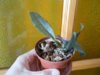 DSCN4413.JPG
