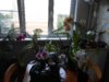 DSCN4434.JPG