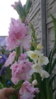 20150804_165530.jpg